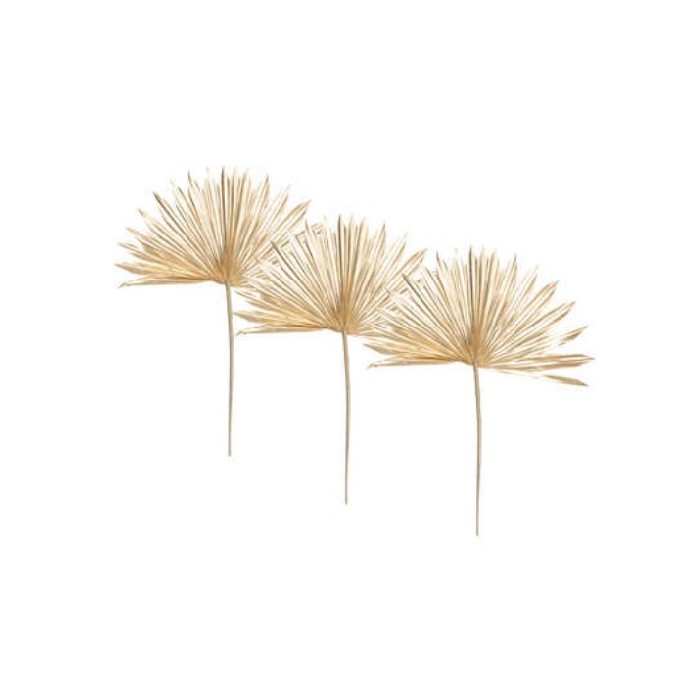 home-decor/decorative-ornaments/atmosphera-gold-stems-x3-h56cm