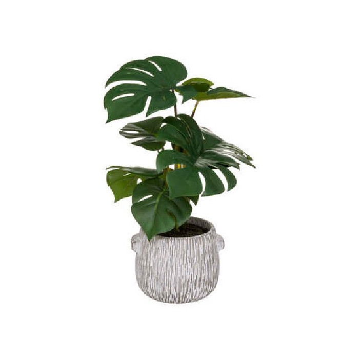 home-decor/deco/atmosphera-monstera-cym-stripe-h35cm