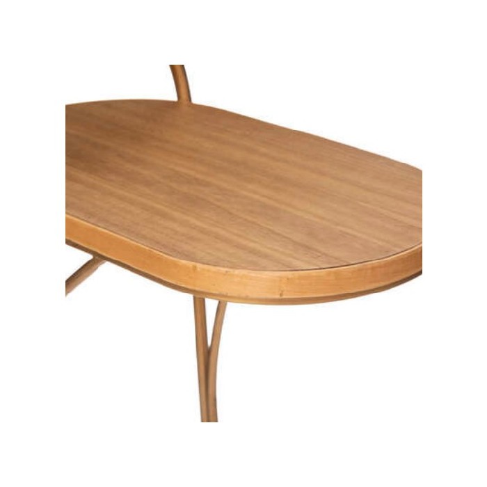 living/coffee-tables/set-of-2-lyna-coffee-tables-gold-metal-wood