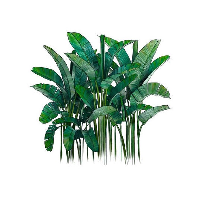 home-decor/artificial-plants-flowers/atmosphera-palm-tree-flat-sticker-101cm-x-95cm