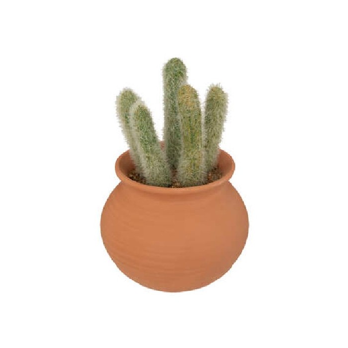 home-decor/artificial-plants-flowers/atmosphera-cactus-terra-pot-ali-h165cm