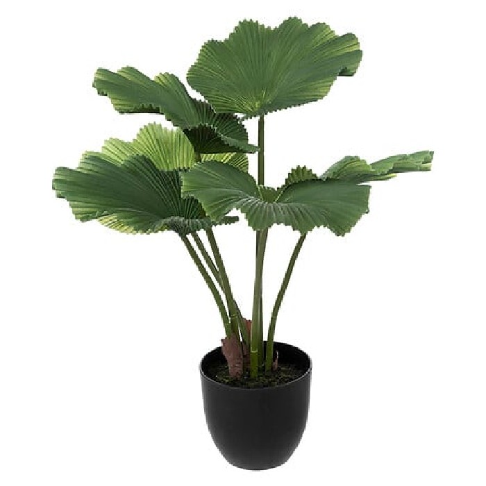 home-decor/artificial-plants-flowers/atmosphera-licuala-plant-height-65cm