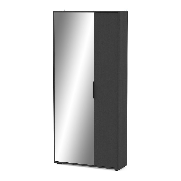 household-goods/shoe-racks-cabinets/ebony-double-shoe-cabinet-–-2-doors-1-mirror-finished-in-structured-black