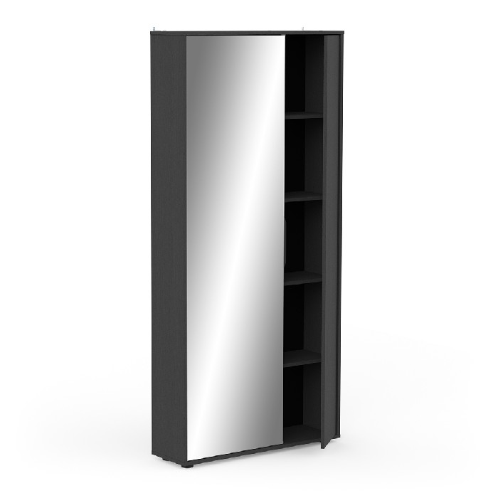 household-goods/shoe-racks-cabinets/ebony-double-shoe-cabinet-–-2-doors-1-mirror-finished-in-structured-black