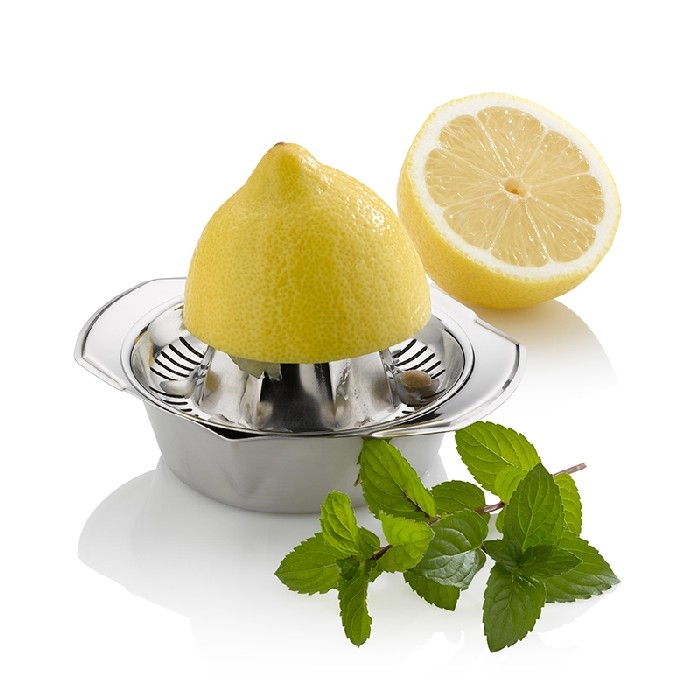 kitchenware/miscellaneous-kitchenware/promo-stainless-steel-lemon-squeezer