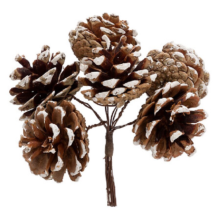 christmas/decorations/atmosphera-white-tipped-pinecone-ornament-–-set-of-12