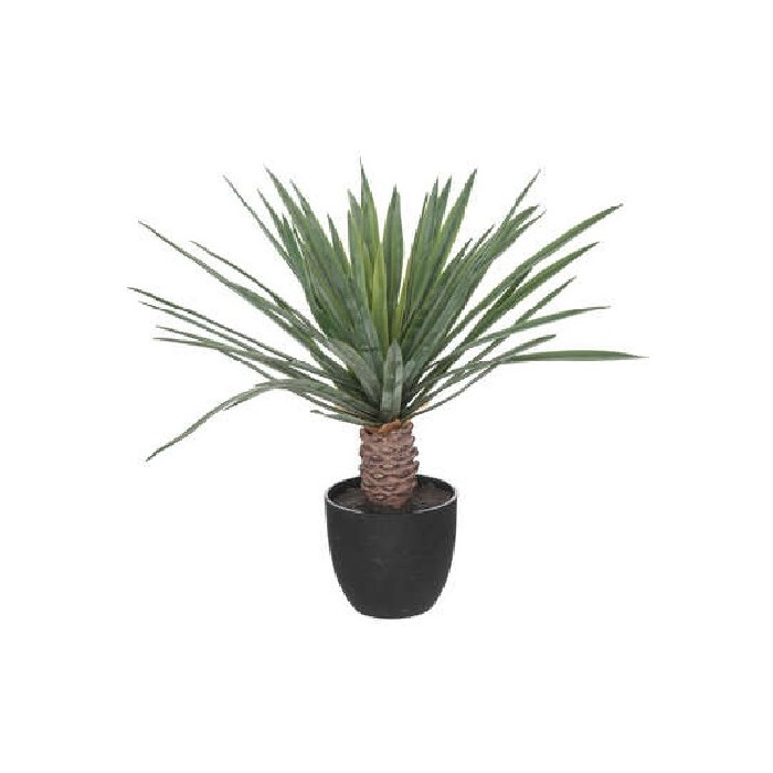 home-decor/artificial-plants-flowers/atmosphera-palm-tree-with-pl-pot-rivi-h52cm