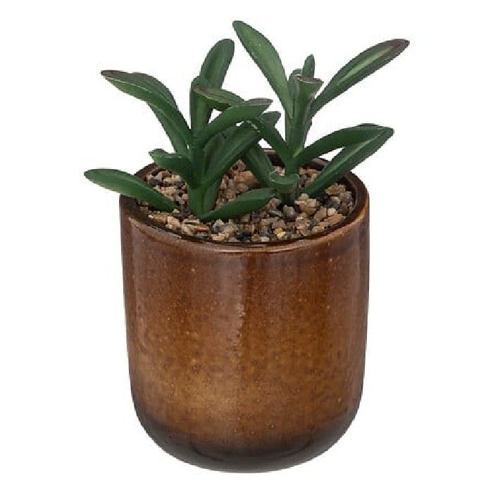 home-decor/artificial-plants-flowers/atmosphera-plant-with-ocean-reactive-ceramic-pot-h16cm