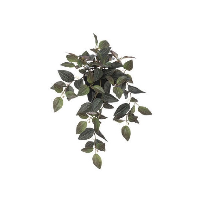 home-decor/artificial-plants-flowers/atmosphera-tradescantia-plant-45cm