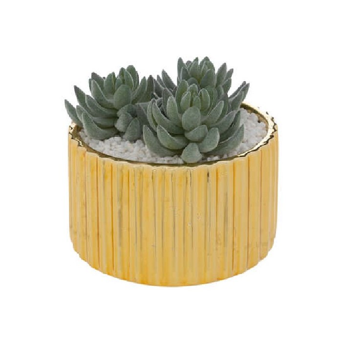 home-decor/artificial-plants-flowers/atmosphera-col-plant-in-gold-ceramic-pot-height-12cm