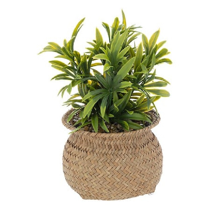 home-decor/artificial-plants-flowers/atmosphera-plant-with-natural-pot-jil-h20cm