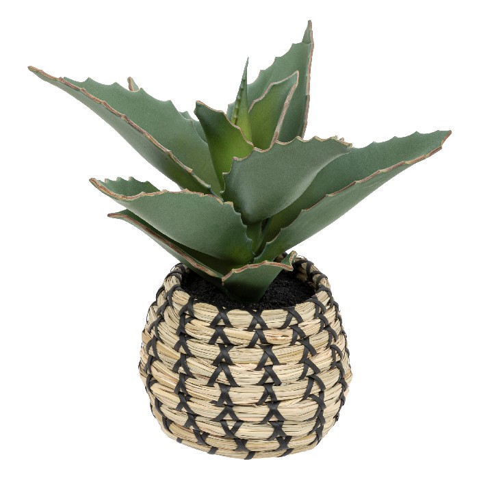 home-decor/artificial-plants-flowers/atmosphera-samourai-plant-natural-pot-pio-h26cm