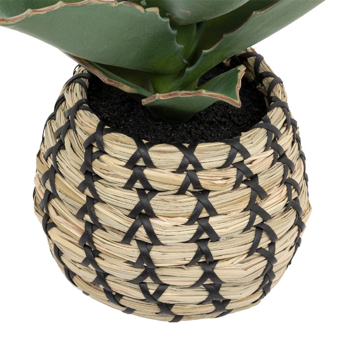 home-decor/artificial-plants-flowers/atmosphera-samourai-plant-natural-pot-pio-h26cm