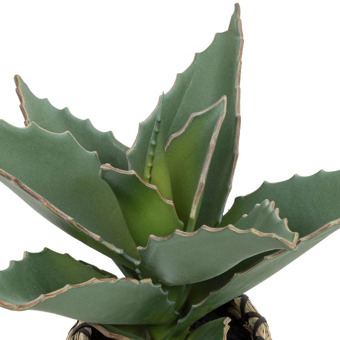 home-decor/artificial-plants-flowers/atmosphera-samourai-plant-natural-pot-pio-h26cm
