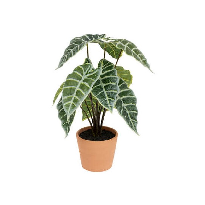 home-decor/artificial-plants-flowers/atmosphera-alocasia-terra-pot-sol-h43cm