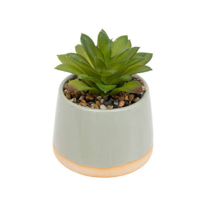 home-decor/artificial-plants-flowers/atmosphera-decorative-cactus-in-ceramic-pot-3-assorted-colours