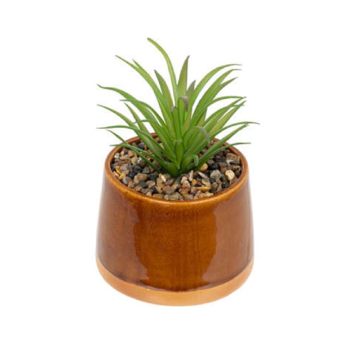 home-decor/artificial-plants-flowers/atmosphera-decorative-cactus-in-ceramic-pot-3-assorted-colours