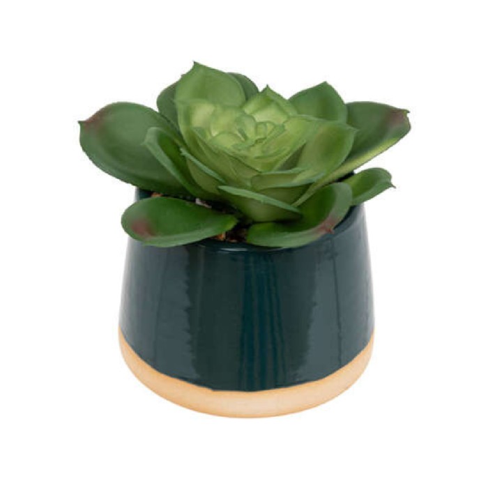 home-decor/artificial-plants-flowers/atmosphera-decorative-cactus-in-ceramic-pot-3-assorted-colours
