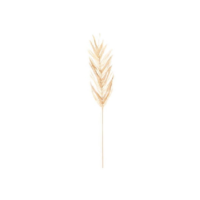 home-decor/artificial-plants-flowers/atmosphera-dried-palm-stems-x3-ova-h95cm