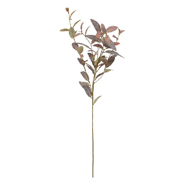 home-decor/artificial-plants-flowers/atmosphera-brown-eucalyptus-stem-james-h103cm