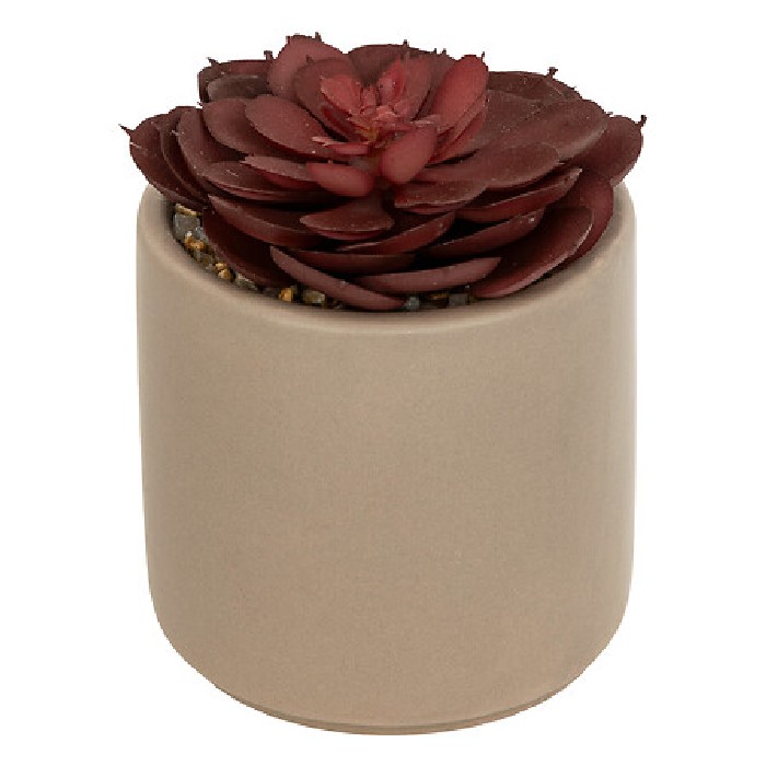 home-decor/artificial-plants-flowers/atmosphera-mixed-succulent-nils-3-assorted