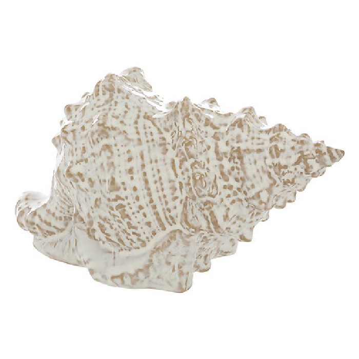 home-decor/decorative-ornaments/atmosphera-oceane-ceramic-seashell-l20cm