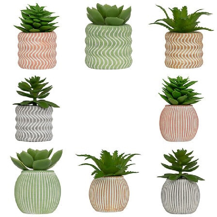 home-decor/indoor-pots-plant-stands/atmosphera-succulent-with-cement-pot-ubi-diameter-7cm-8-assorted