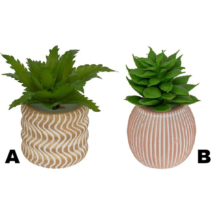 home-decor/indoor-pots-plant-stands/atmosphera-succulent-with-cement-pot-ubi-diameter-7cm-8-assorted