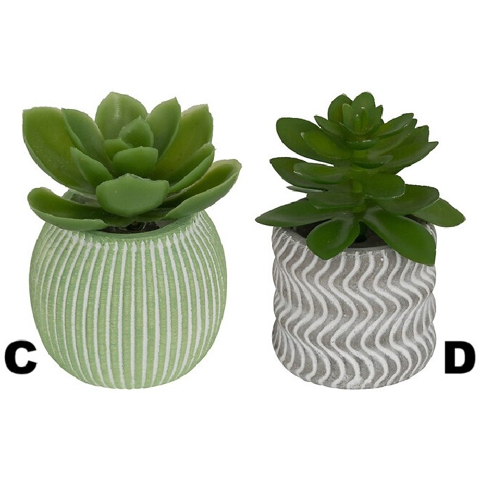 home-decor/indoor-pots-plant-stands/atmosphera-succulent-with-cement-pot-ubi-diameter-7cm-8-assorted