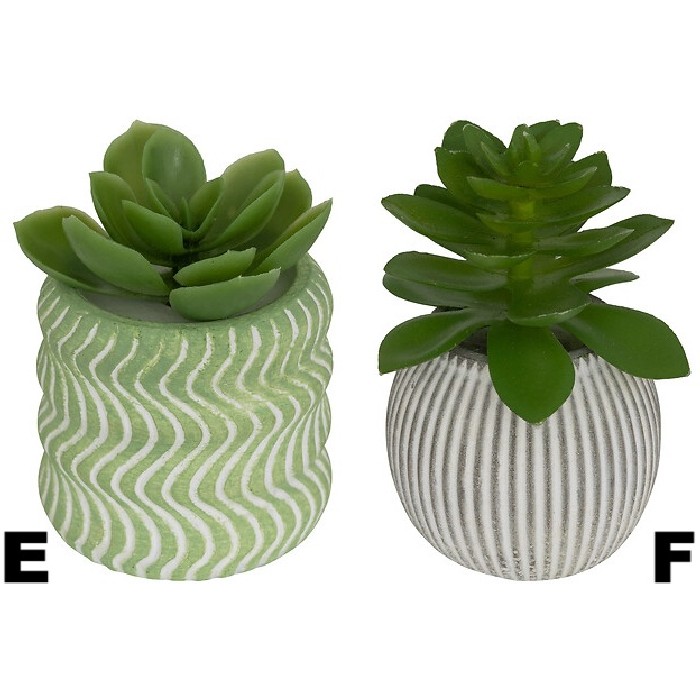 home-decor/indoor-pots-plant-stands/atmosphera-succulent-with-cement-pot-ubi-diameter-7cm-8-assorted