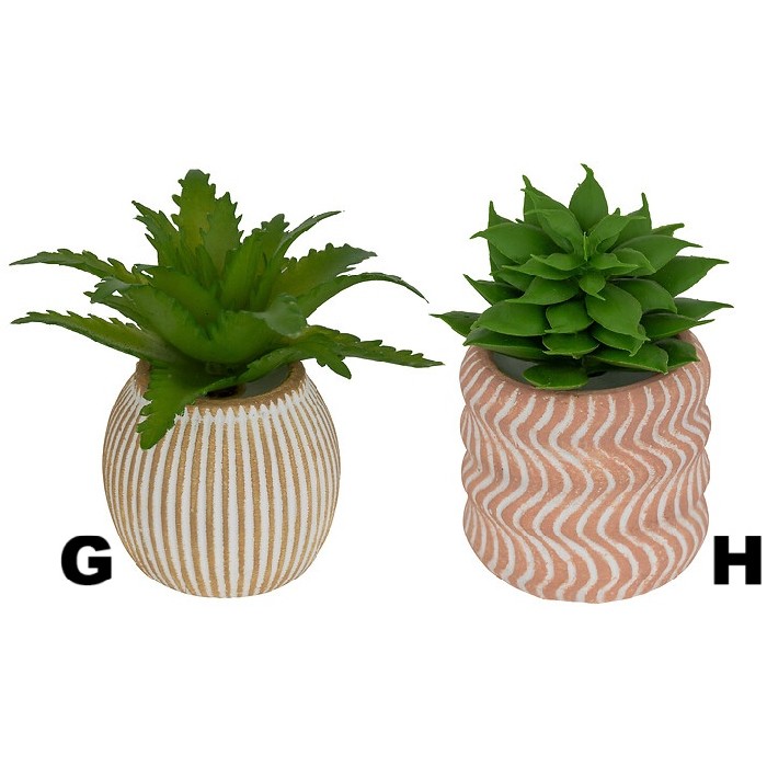 home-decor/indoor-pots-plant-stands/atmosphera-succulent-with-cement-pot-ubi-diameter-7cm-8-assorted