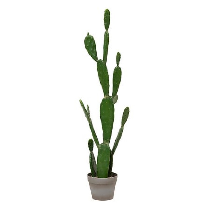 home-decor/artificial-plants-flowers/atmosphera-cactus-with-plastic-pot-yuca-h109cm