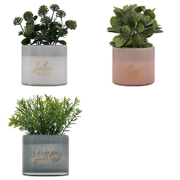 home-decor/artificial-plants-flowers/atmosphera-succulent-with-glass-pot-tayli-h18cm-3-assorted