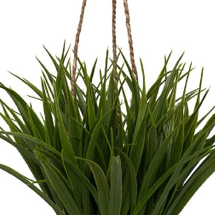 home-decor/artificial-plants-flowers/atmosphera-moda-hanging-grass-plant-height-27cm-with-natural-fiber-pot