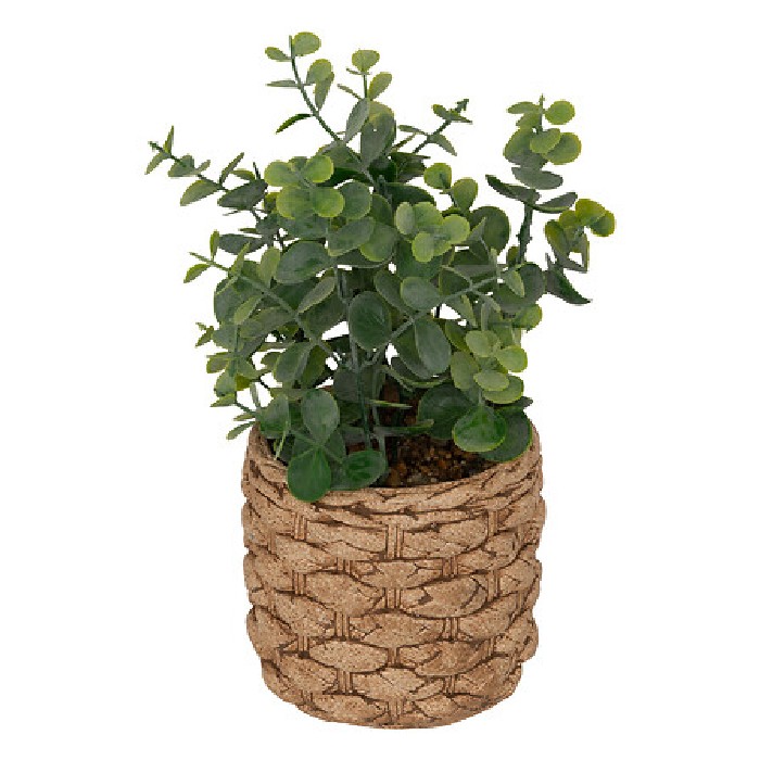 home-decor/artificial-plants-flowers/atmosphera-eucalyptus-with-cement-pot-jaye-h27cm