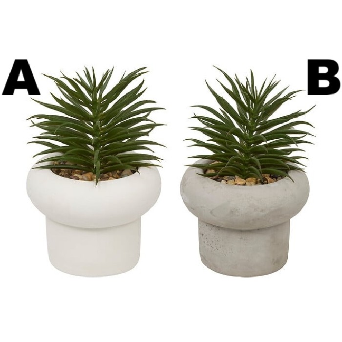 home-decor/artificial-plants-flowers/atmosphera-succulent-in-cement-pot-stefi-h15-8-assorted