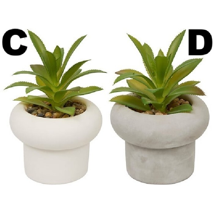 home-decor/artificial-plants-flowers/atmosphera-succulent-in-cement-pot-stefi-h15-8-assorted