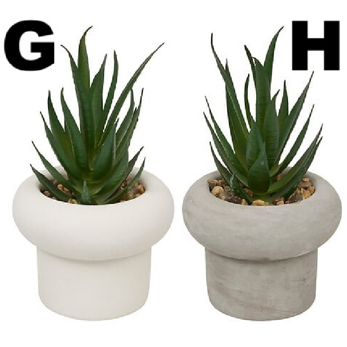home-decor/artificial-plants-flowers/atmosphera-succulent-in-cement-pot-stefi-h15-8-assorted