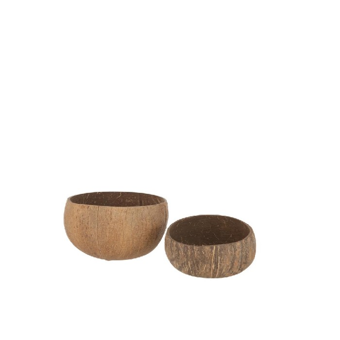 home-decor/decorative-ornaments/set-of-2-half-coconuts-rough