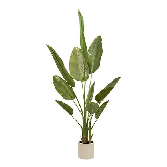 home-decor/artificial-plants-flowers/atmosphera-banana-tree-with-3-trunks-lora-h200cm