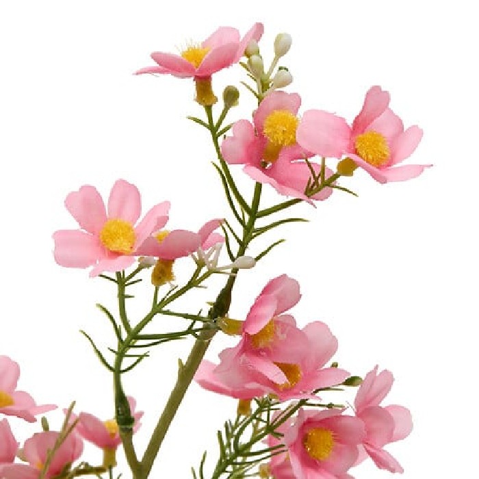 home-decor/artificial-plants-flowers/atmosphera-cosmos-stem-phoebe-h62cm-4-assorted