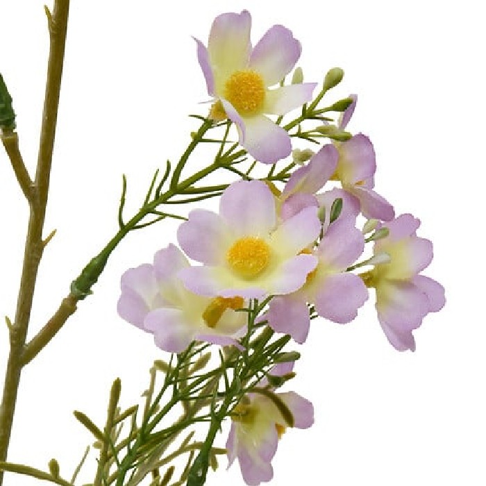 home-decor/artificial-plants-flowers/atmosphera-cosmos-stem-phoebe-h62cm-4-assorted