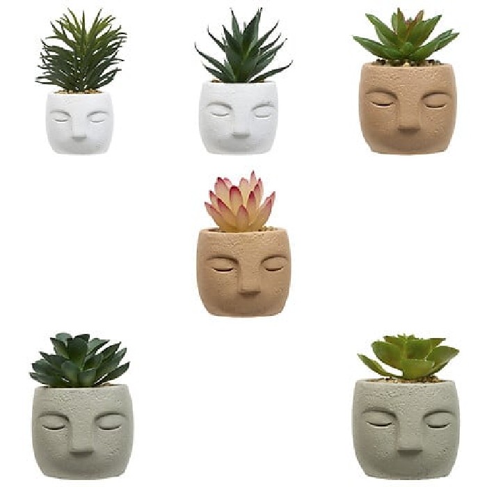 home-decor/artificial-plants-flowers/atmosphera-succulent-face-teri-h13cm-6-assorted