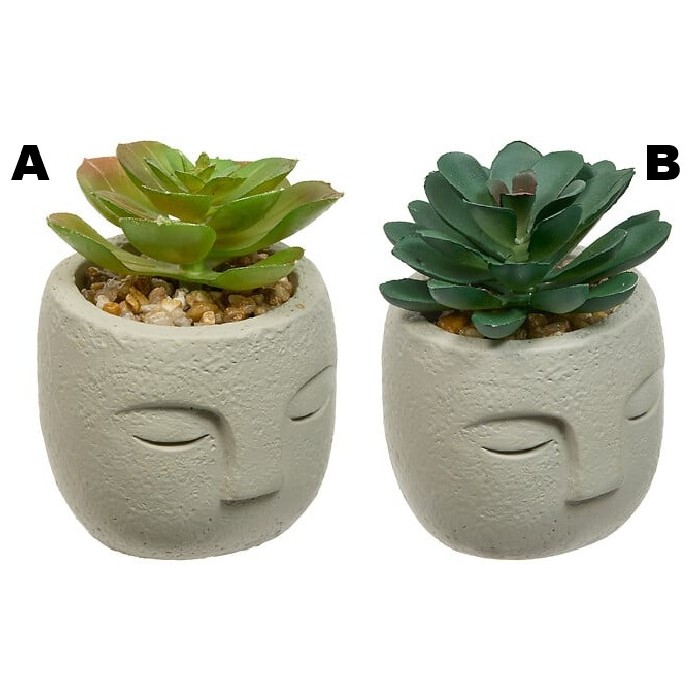 home-decor/artificial-plants-flowers/atmosphera-succulent-face-teri-h13cm-6-assorted