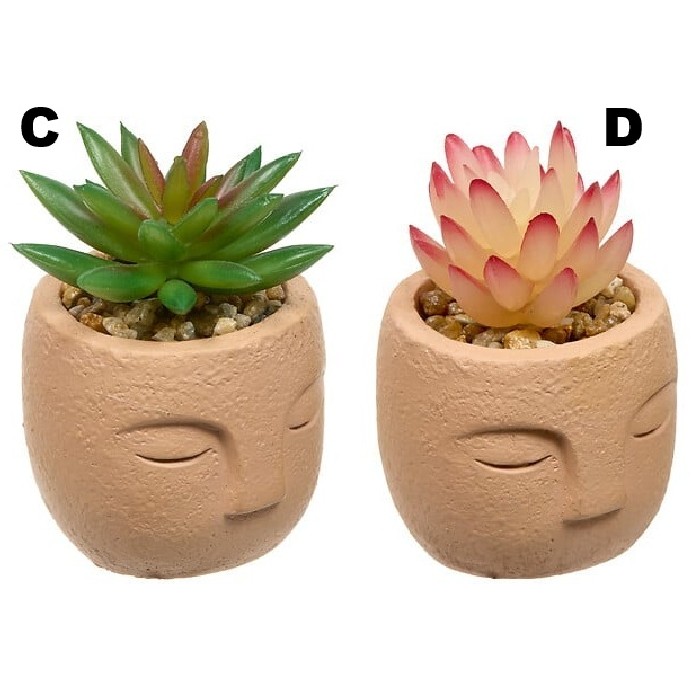 home-decor/artificial-plants-flowers/atmosphera-succulent-face-teri-h13cm-6-assorted