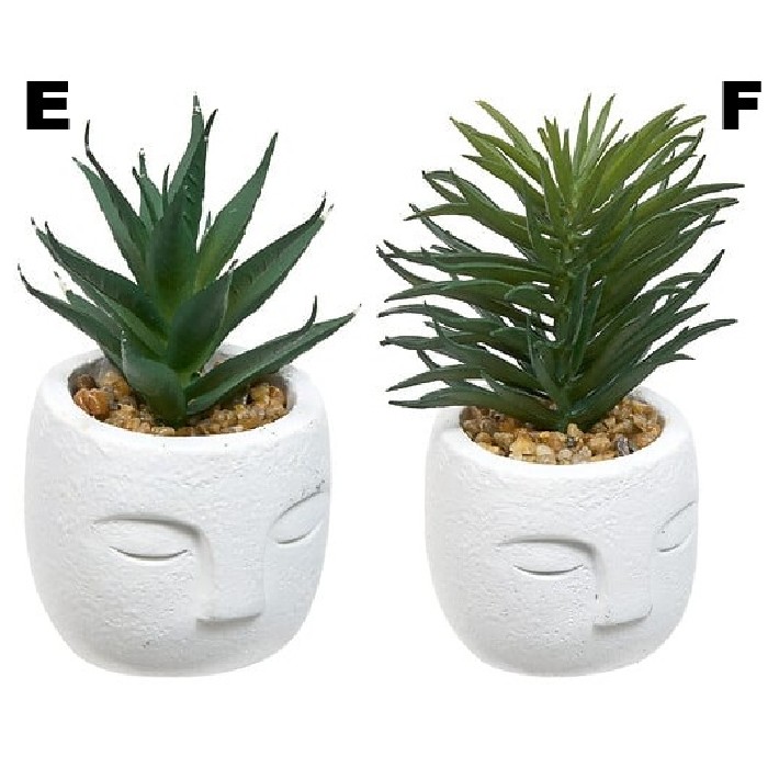 home-decor/artificial-plants-flowers/atmosphera-succulent-face-teri-h13cm-6-assorted