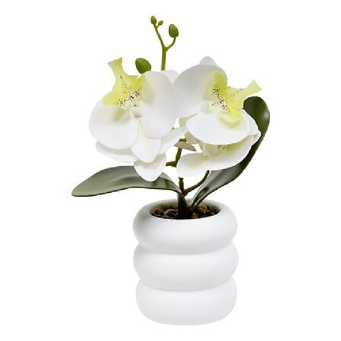 home-decor/vases/atmosphera-cement-orchid-pot-mick-h25cm-with-box