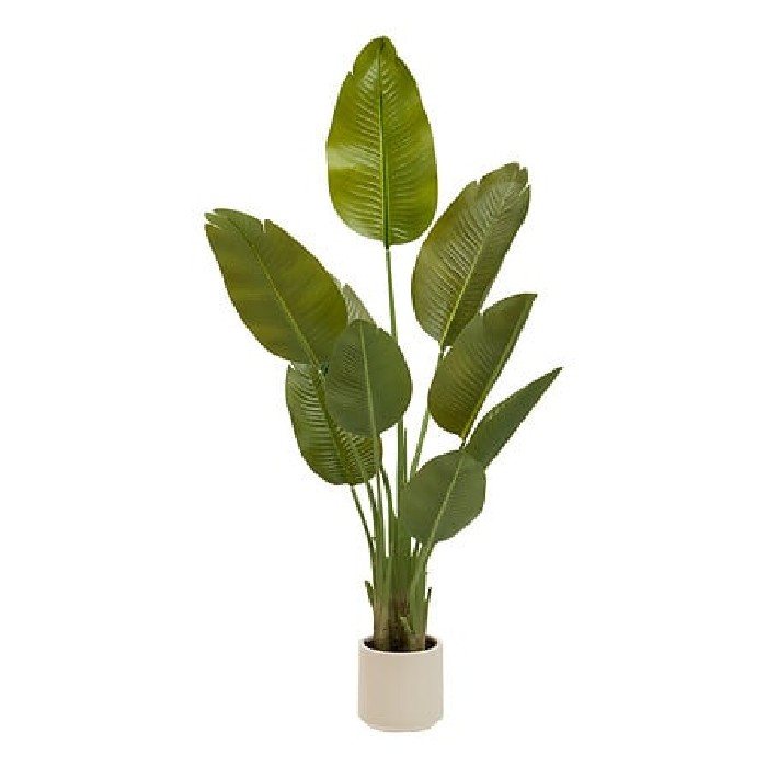 home-decor/artificial-plants-flowers/atmosphera-banana-tree-with-3-trunks-lora-h140cm