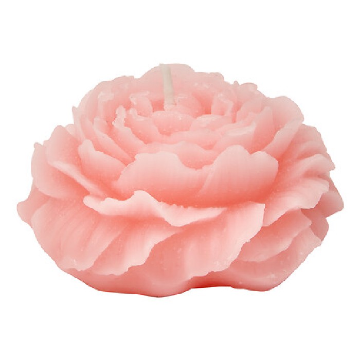home-decor/candles-home-fragrance/atmosphera-floral-rose-candle-80g-3-assorted-colours