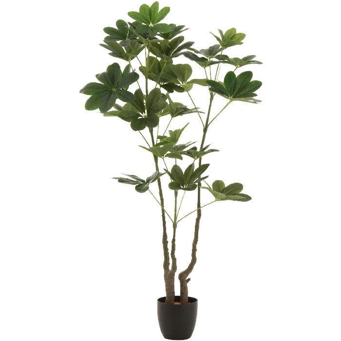 home-decor/artificial-plants-flowers/money-tree-pot-plastic-green-l